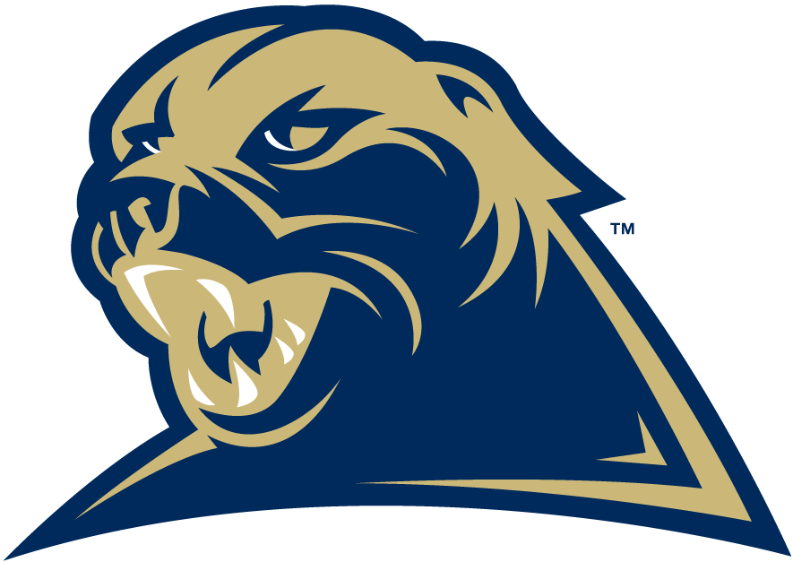 Pittsburgh Panthers 2002-Pres Alternate Logo diy iron on heat transfer